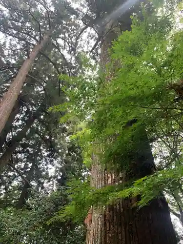水澤寺(水澤観世音)(群馬県)
