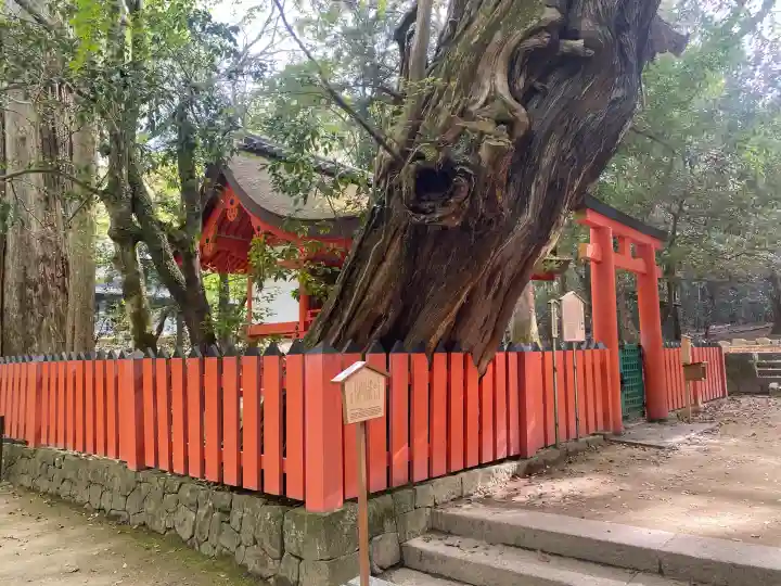 水谷神社の{uncategorized: "未分類", other: "その他", undefined: "問題あり", building: "その他建物", grave: "お墓", sacred_gate: "鳥居", guardian: "狛犬", statue: "像", buddha: "仏像", history: "歴史", nature: "自然", garden: "庭園", animal: "動物", pagoda: "塔", temizu: "手水舎", mountain_gate: "山門・神門", sanctuary: "本殿・本堂", subordinate: "末社・摂社", art: "芸術", scenery: "景色", jizo: "地蔵", ema: "絵馬", goshuin: "御朱印", omikuji: "おみくじ", items: "授与品その他", amulet: "お守り", goshuincho: "御朱印帳", eats: "食事", festival: "お祭り", votive_dance: "神楽", shichigosan: "七五三参", wedding: "結婚式", experience: "体験その他", initially: "初詣", around: "周辺", anti_infection: "感染症対策"}
