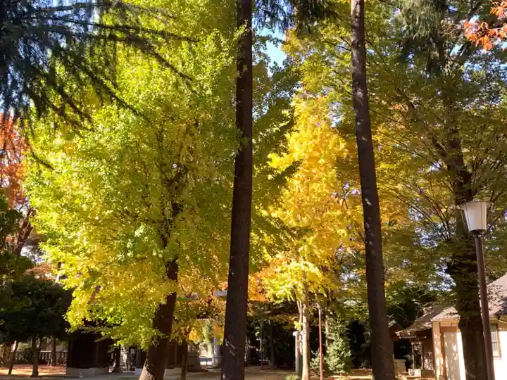 小野神社の自然