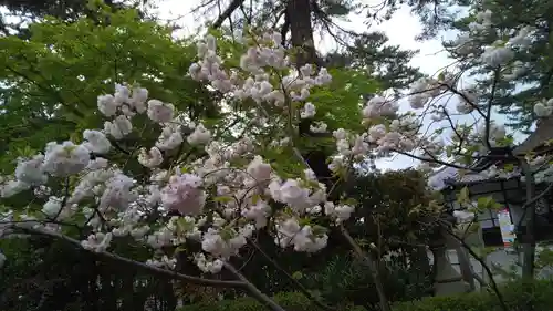 建部大社の自然