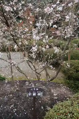 西明寺(滋賀県)
