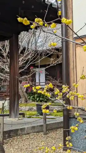 勝林寺(京都府)