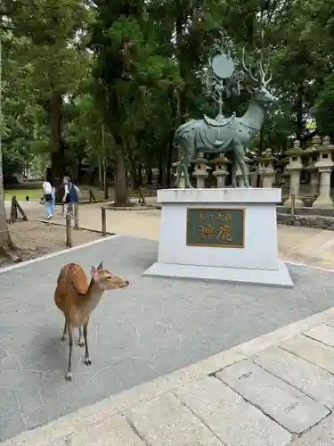 春日大社(奈良県)