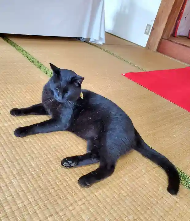 高司神社〜むすびの神の鎮まる社〜(福島県)