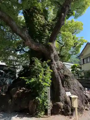 五所神社(神奈川県)
