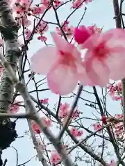 女化神社の自然