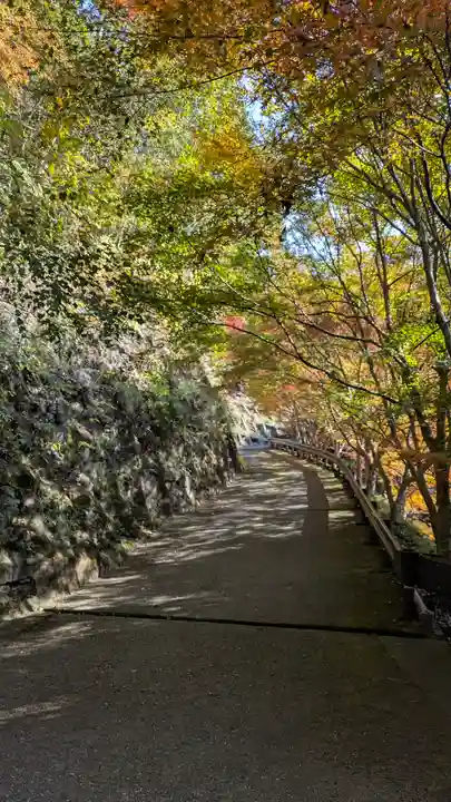 西明寺(京都府)