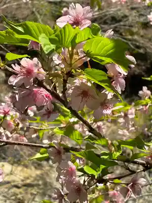 報国寺(神奈川県)