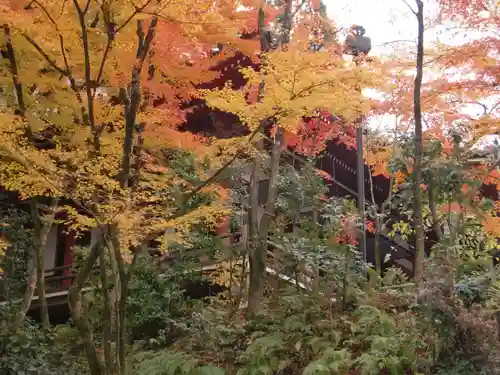 禅林寺（永観堂）(京都府)