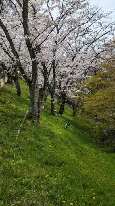 園城寺(三井寺)(滋賀県)