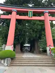 河口浅間神社の鳥居