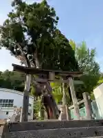 谷口神社の鳥居