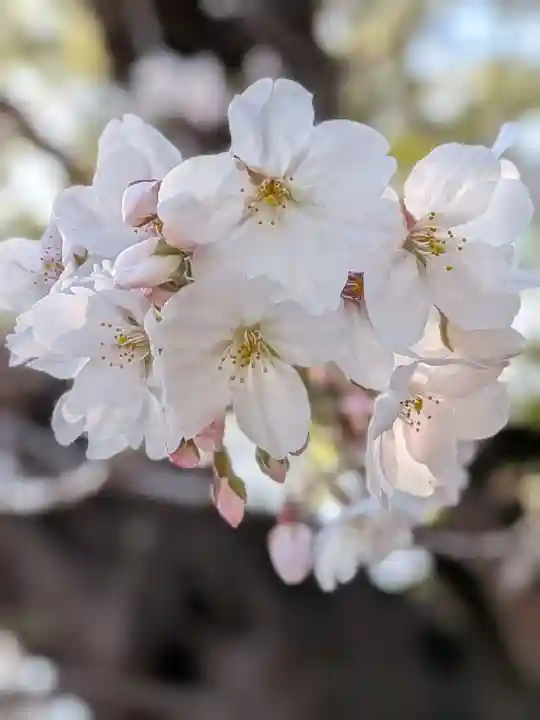 多田神社(東京都)