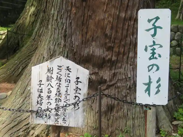 日枝神社の歴史