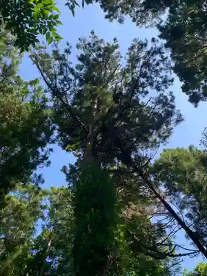 浅間神社(千葉県)