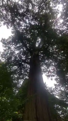 須佐神社(島根県)