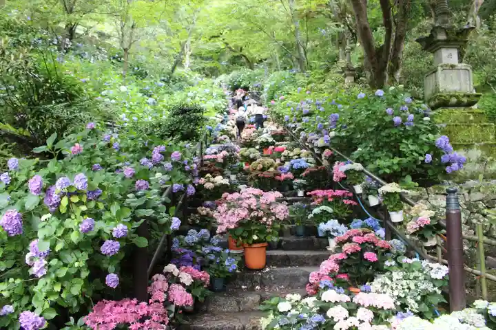 長谷寺(奈良県)