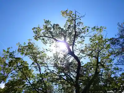 阿邪訶根神社(福島県)