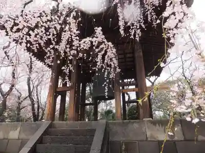 増上寺のその他建物
