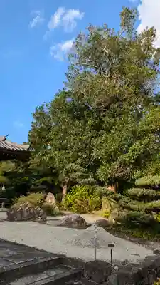印空寺(京都府)