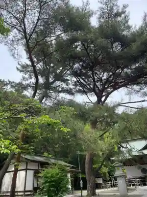 村松大神宮(茨城県)