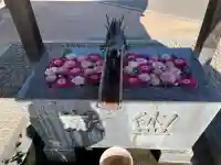 川越八幡宮の{uncategorized: "未分類", other: "その他", undefined: "問題あり", building: "その他建物", grave: "お墓", sacred_gate: "鳥居", guardian: "狛犬", statue: "像", buddha: "仏像", history: "歴史", nature: "自然", garden: "庭園", animal: "動物", pagoda: "塔", temizu: "手水舎", mountain_gate: "山門・神門", sanctuary: "本殿・本堂", subordinate: "末社・摂社", art: "芸術", scenery: "景色", jizo: "地蔵", ema: "絵馬", goshuin: "御朱印", omikuji: "おみくじ", items: "授与品その他", amulet: "お守り", goshuincho: "御朱印帳", eats: "食事", festival: "お祭り", votive_dance: "神楽", shichigosan: "七五三参", wedding: "結婚式", experience: "体験その他", initially: "初詣", around: "周辺", anti_infection: "感染症対策"}