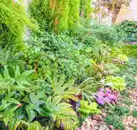 寿量山 速成寺の庭園