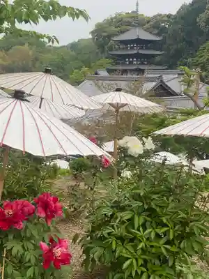 當麻寺 奥院(奈良県)