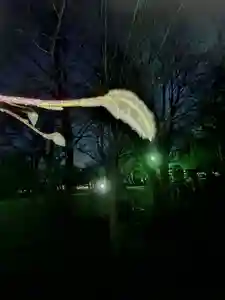 厚別神社(北海道)(2023年04月10日(月) 19時51分31秒投稿)