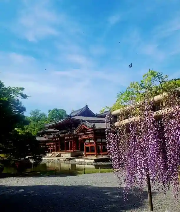 平等院の{uncategorized: "未分類", other: "その他", undefined: "問題あり", building: "その他建物", grave: "お墓", sacred_gate: "鳥居", guardian: "狛犬", statue: "像", buddha: "仏像", history: "歴史", nature: "自然", garden: "庭園", animal: "動物", pagoda: "塔", temizu: "手水舎", mountain_gate: "山門・神門", sanctuary: "本殿・本堂", subordinate: "末社・摂社", art: "芸術", scenery: "景色", jizo: "地蔵", ema: "絵馬", goshuin: "御朱印", omikuji: "おみくじ", items: "授与品その他", amulet: "お守り", goshuincho: "御朱印帳", eats: "食事", festival: "お祭り", votive_dance: "神楽", shichigosan: "七五三参", wedding: "結婚式", experience: "体験その他", initially: "初詣", around: "周辺", anti_infection: "感染症対策"}