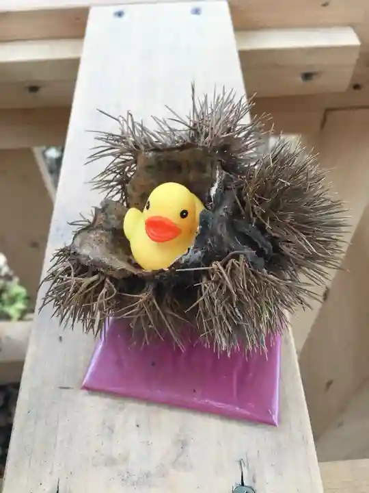 札幌諏訪神社の体験その他