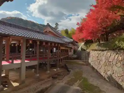 光明寺（粟生光明寺）(京都府)