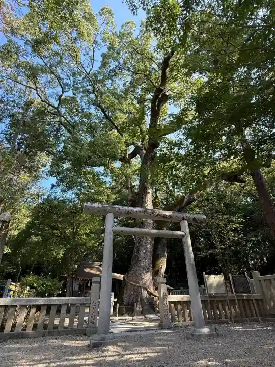 伊弉諾神宮(兵庫県)