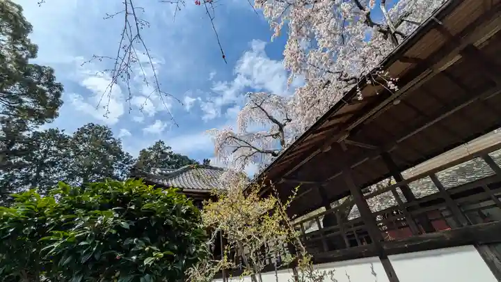 十輪寺(京都府)