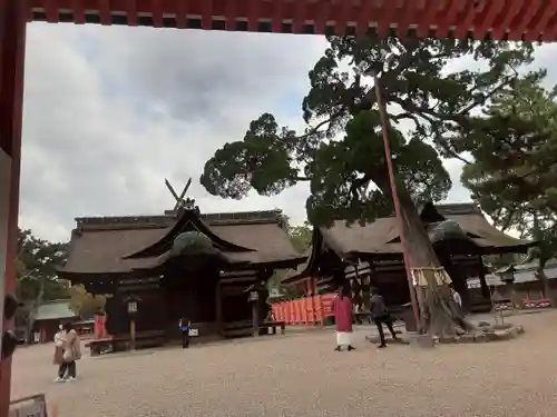 住吉大社の本殿