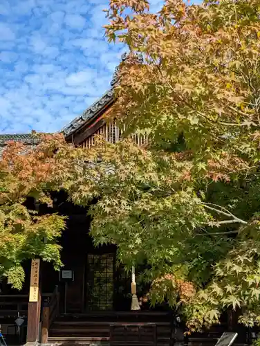 勝林寺(京都府)