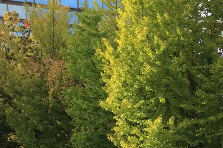 阿邪訶根神社の自然