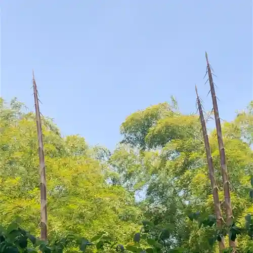 山之神神社の自然