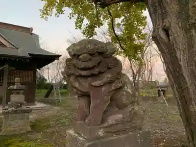 熊野神社の狛犬