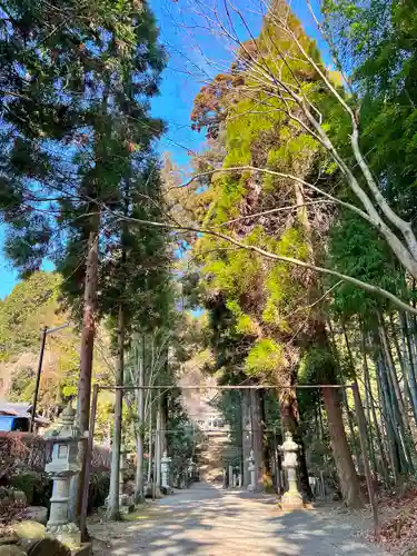 国造神社のその他建物