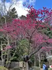 常磐神社(茨城県)