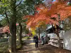 豪徳寺の建物その他