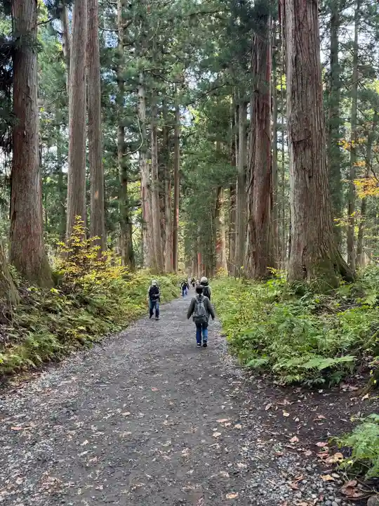 戸隠神社九頭龍社(長野県)