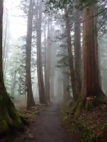 戸隠神社奥社(長野県)