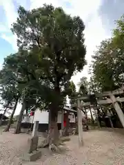 蛭子神社(奈良県)