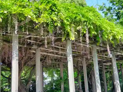 恵美酒宮天満神社の自然