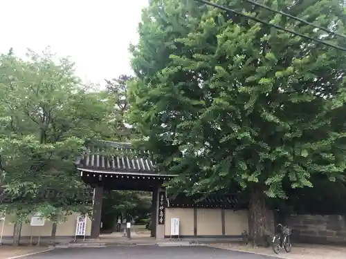 妙寿寺の山門・神門