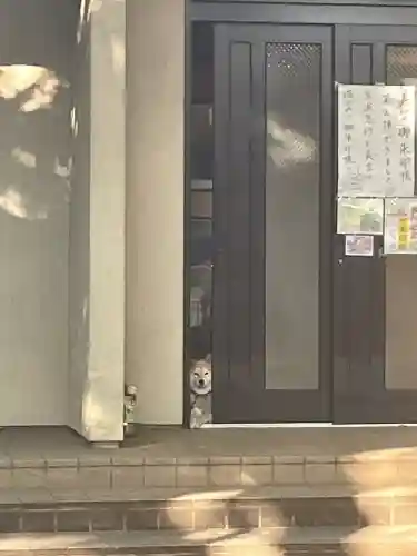 笠䅣稲荷神社(神奈川県)