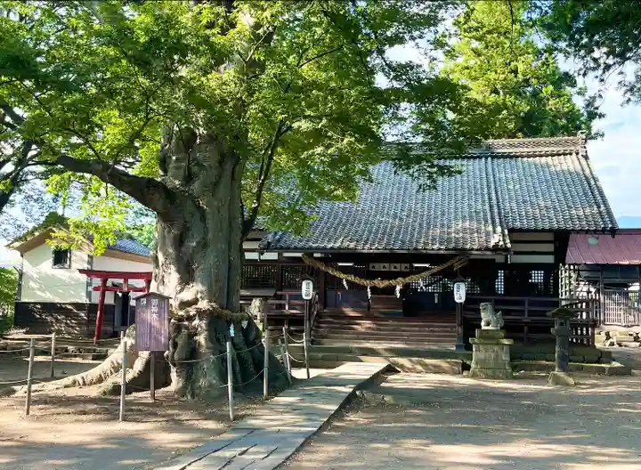 白鳥神社(長野県)