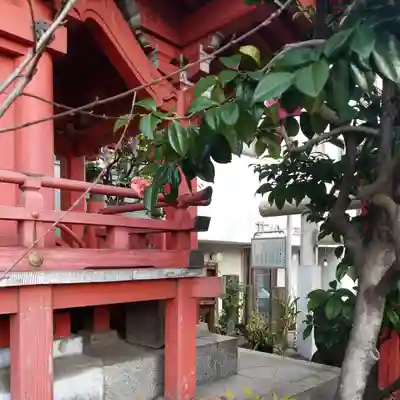 亀塚稲荷神社の本殿・本堂